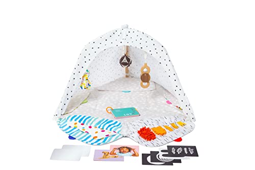 The Play Gym by Lovevery | Stage-Based Developmental Activity Gym & Play Mat for Baby to Toddler