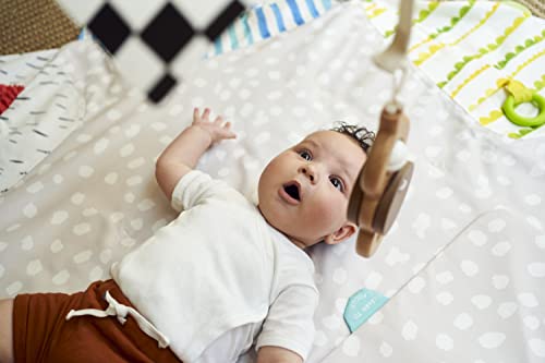 The Play Gym by Lovevery | Stage-Based Developmental Activity Gym & Play Mat for Baby to Toddler