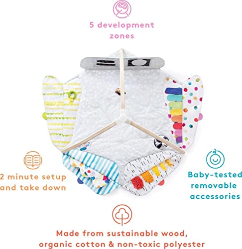 The Play Gym by Lovevery | Stage-Based Developmental Activity Gym & Play Mat for Baby to Toddler
