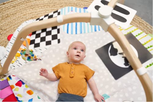 The Play Gym by Lovevery | Stage-Based Developmental Activity Gym & Play Mat for Baby to Toddler