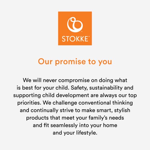 Tripp Trapp High Chair from Stokke, Fjord Blue - Adjustable, Convertible Chair for Children & Adults