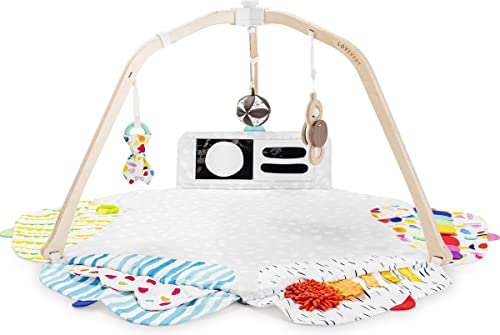 The Play Gym by Lovevery | Stage-Based Developmental Activity Gym & Play Mat for Baby to Toddler