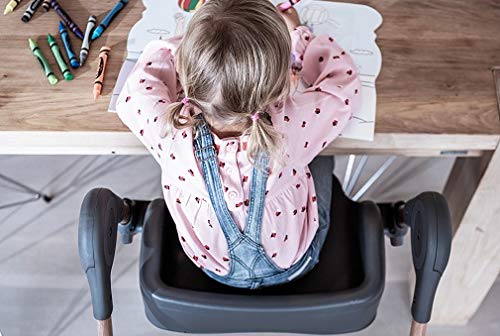 Maxi-Cosi 6-in-1 Minla High Chair, 6 Modes for Years of Growth, Essential Grey