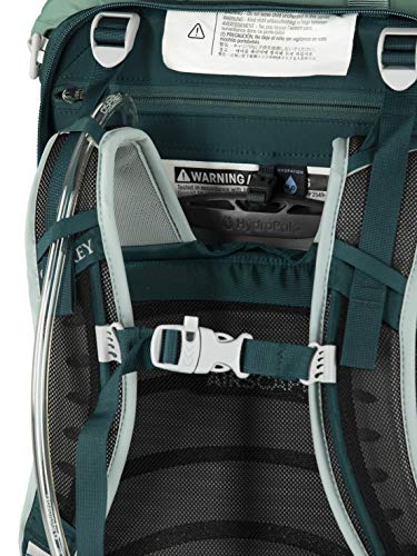 Osprey Poco LT Lightweight Child Carrier Backpack,Deep Teal